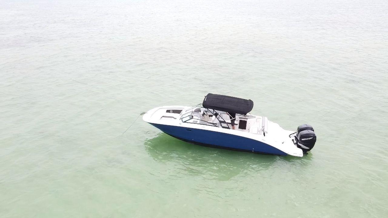 2017-sea-ray-sdx-290-outboard-power-9830052-20250606123251315-1_XLARGE
