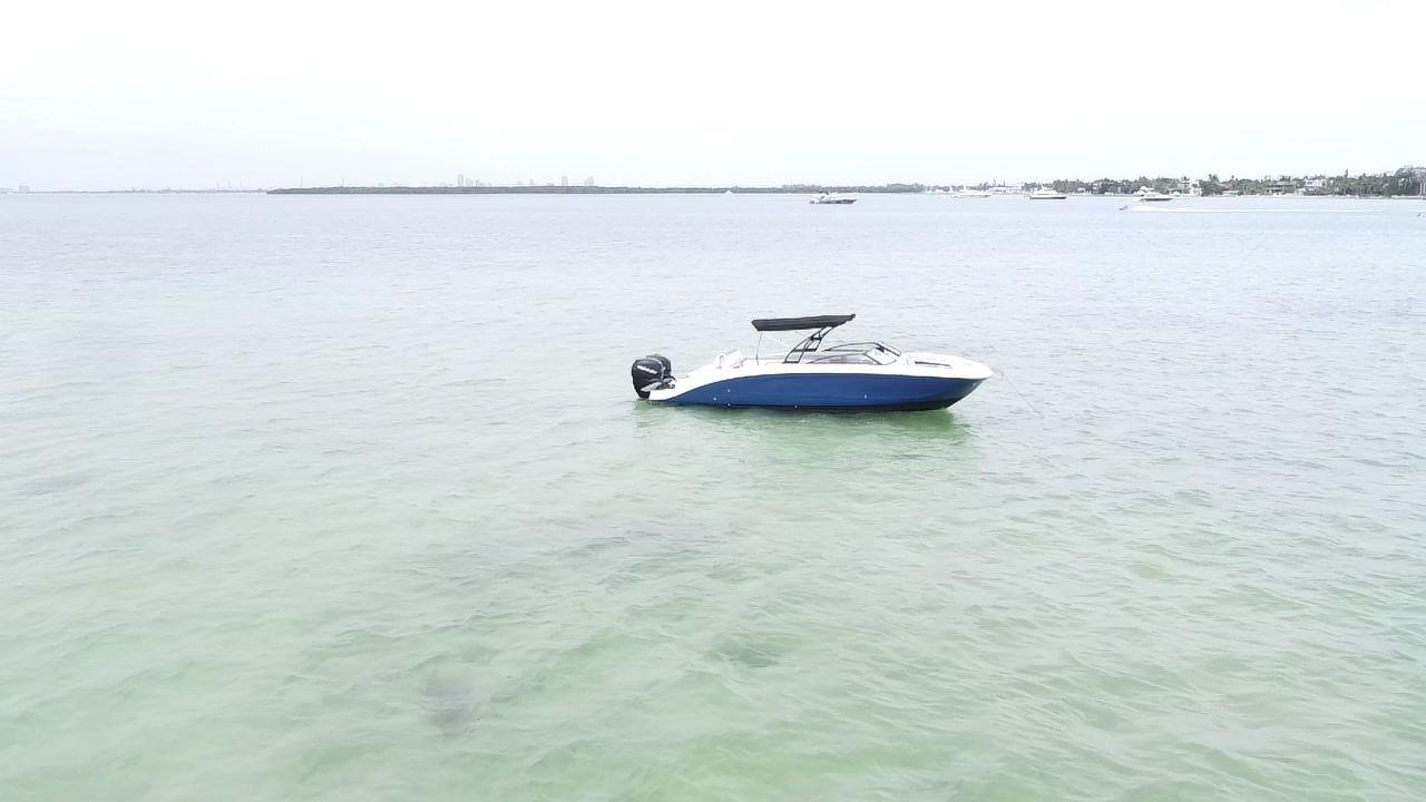 2017-sea-ray-sdx-290-outboard-power-9830052-20250606123306372-1_XLARGE