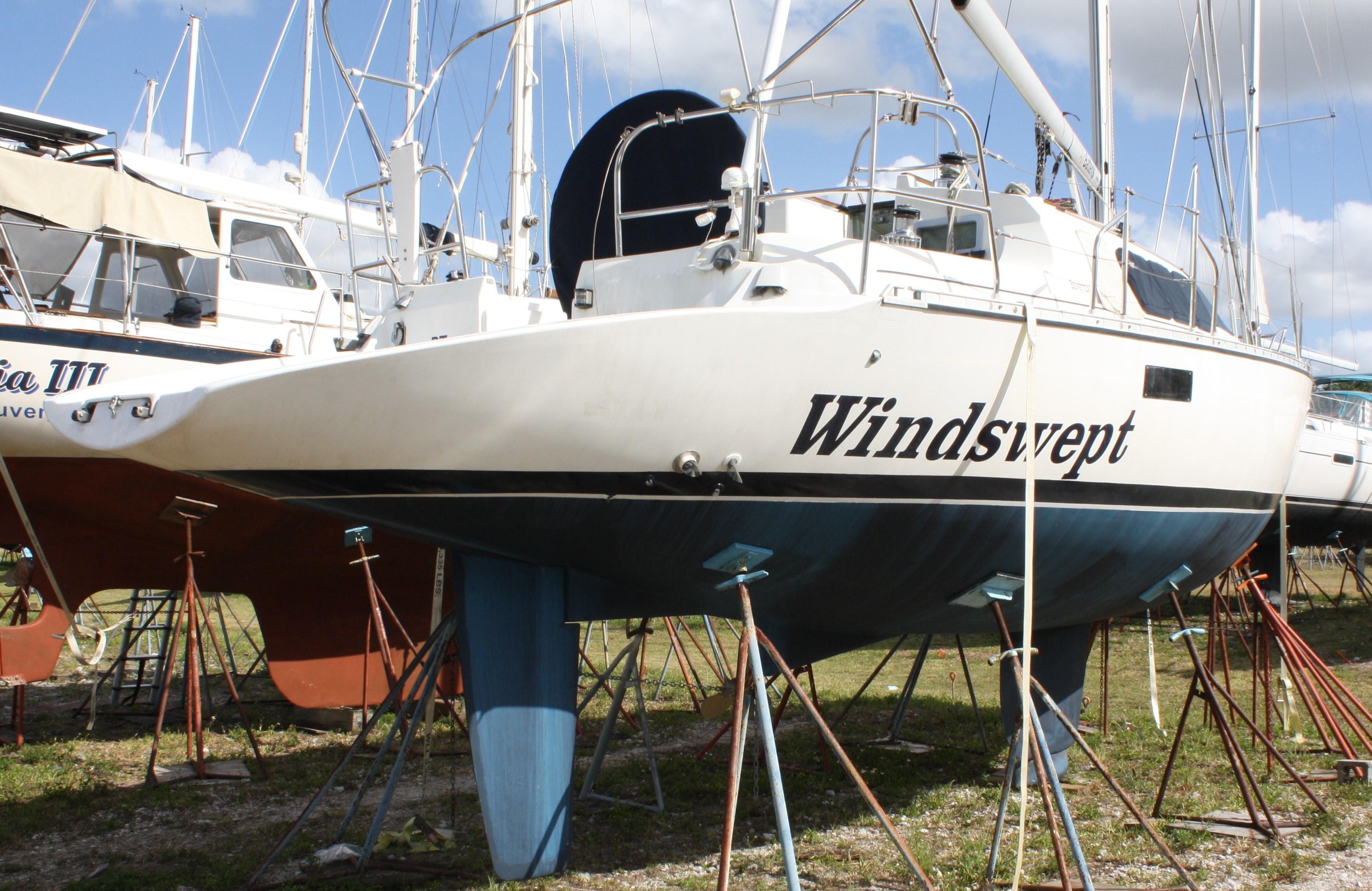 Windswept Waiting to Get Back in The Water