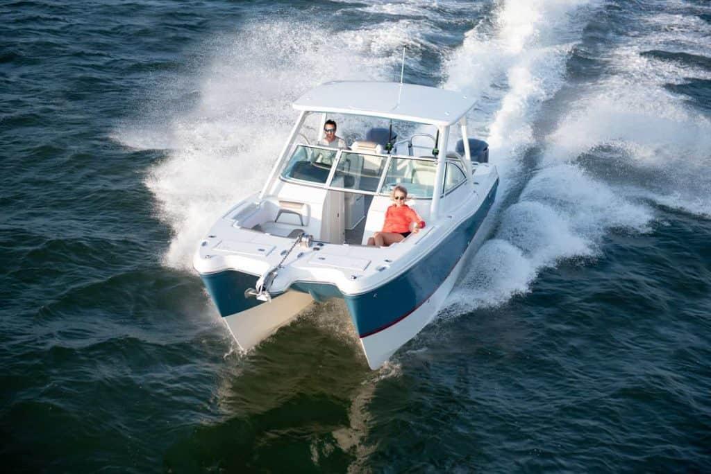 World Cat - 50North
