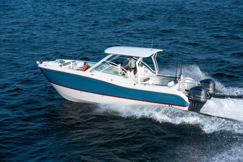 World Cat - 50North