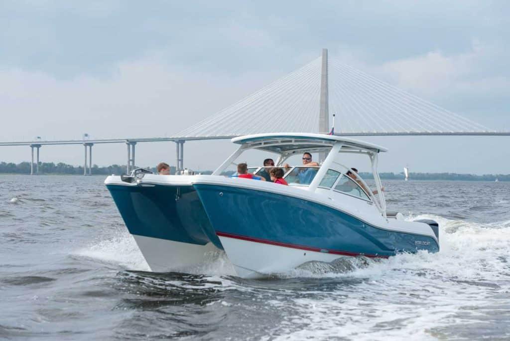 World Cat - 50North