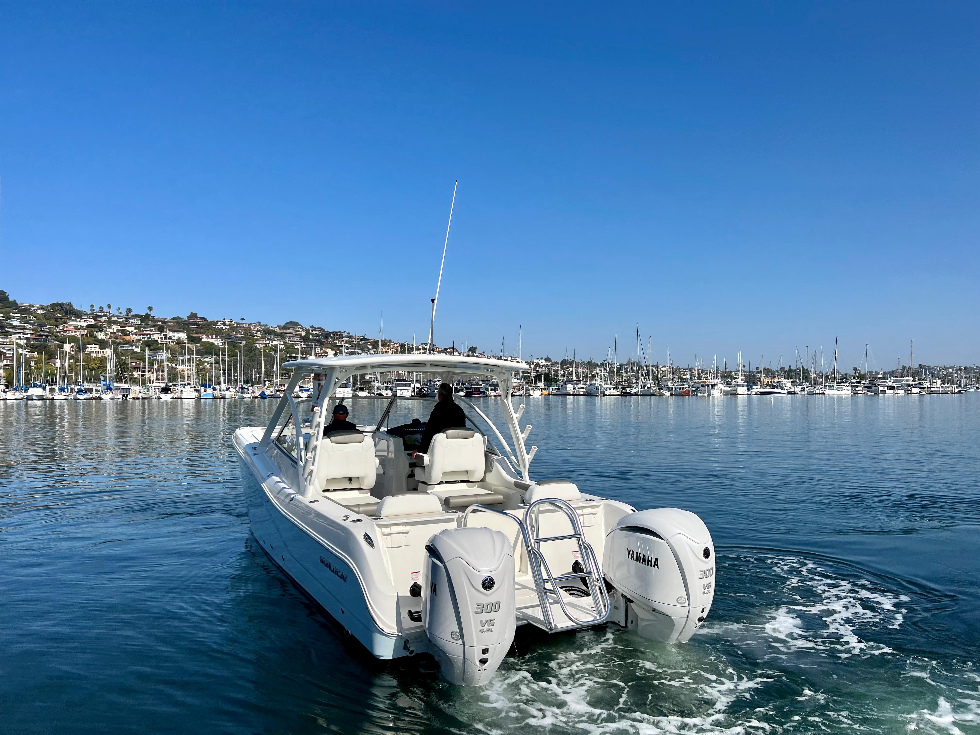 World Cat - 50North