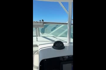 Boston-whaler 28-CONQUEST video