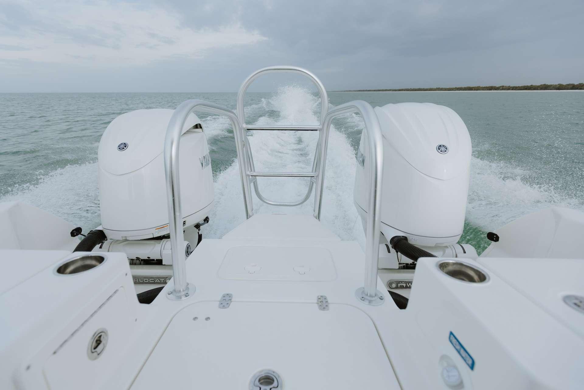 World Cat - 50North