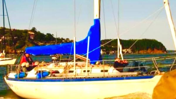 1978 Islander Sloop 36
