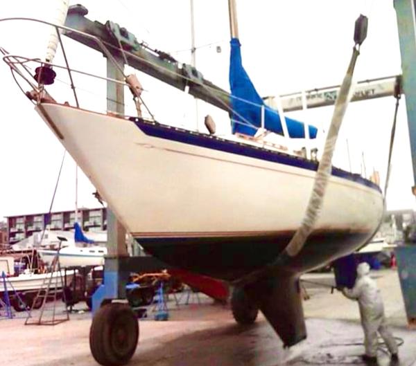1978 Islander Sloop 36 sailboat in dry dock, undergoing maintenance.