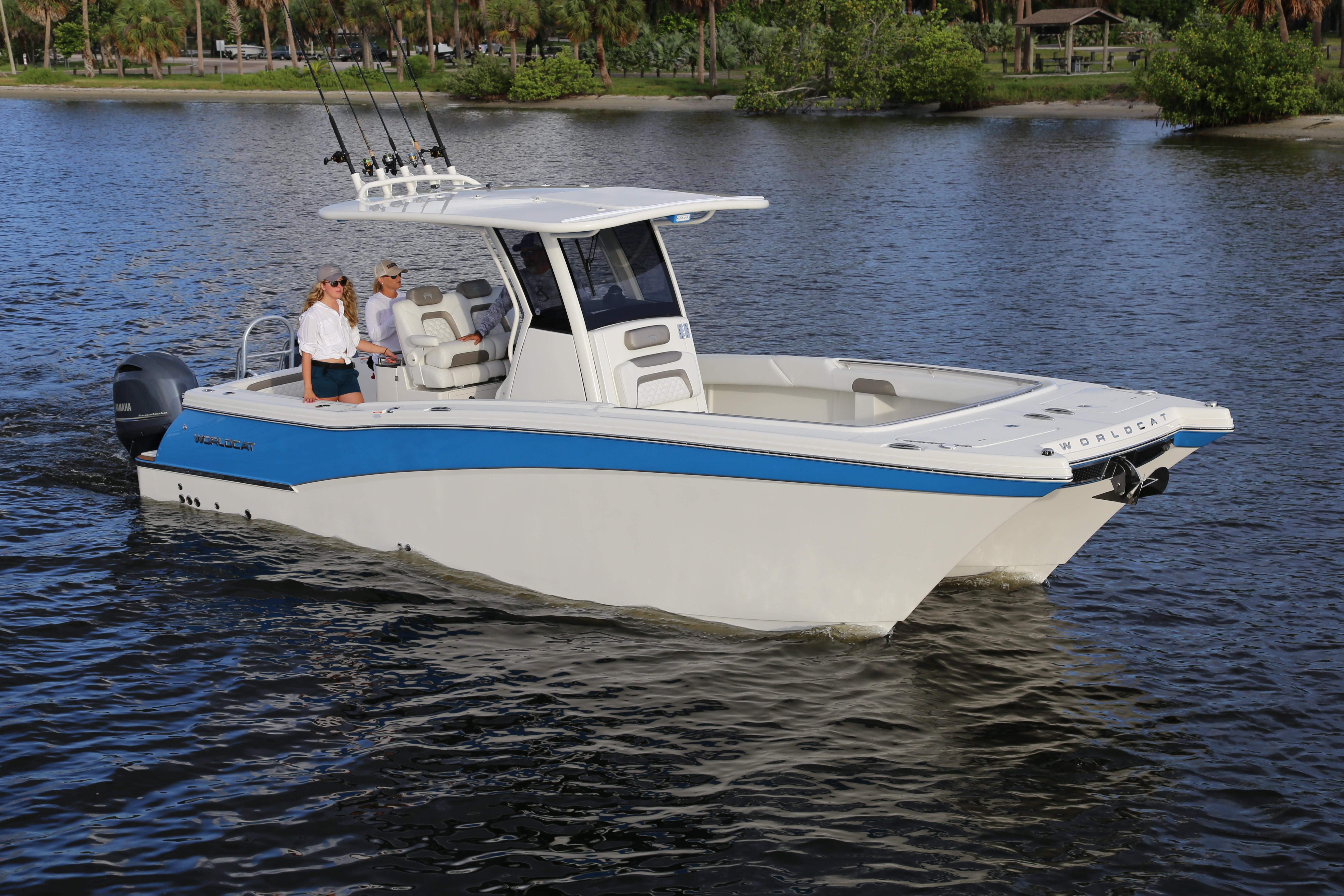 World Cat - 50North