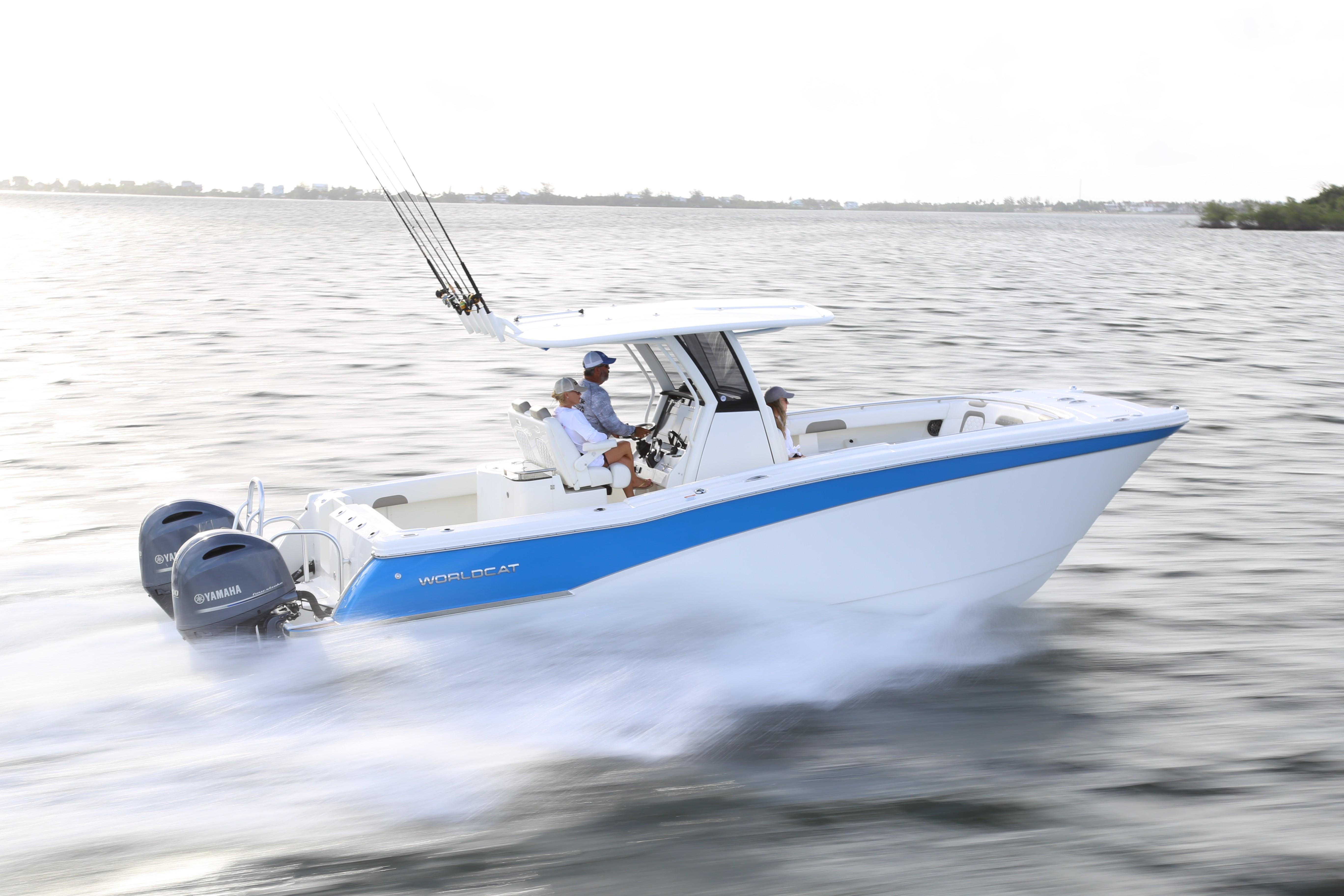 World Cat - 50North
