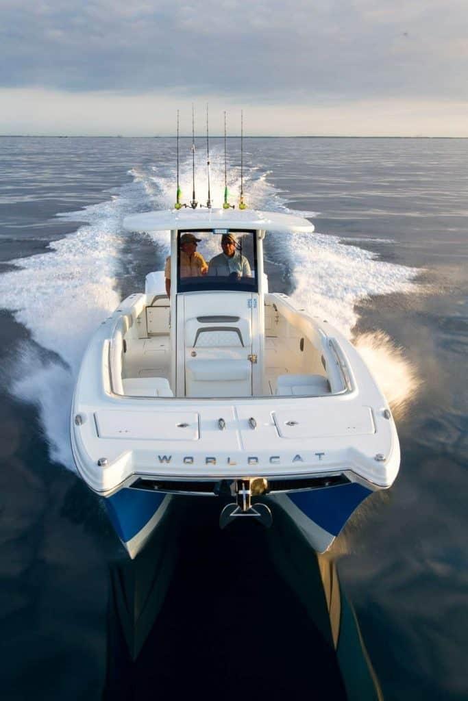 World Cat - 50North
