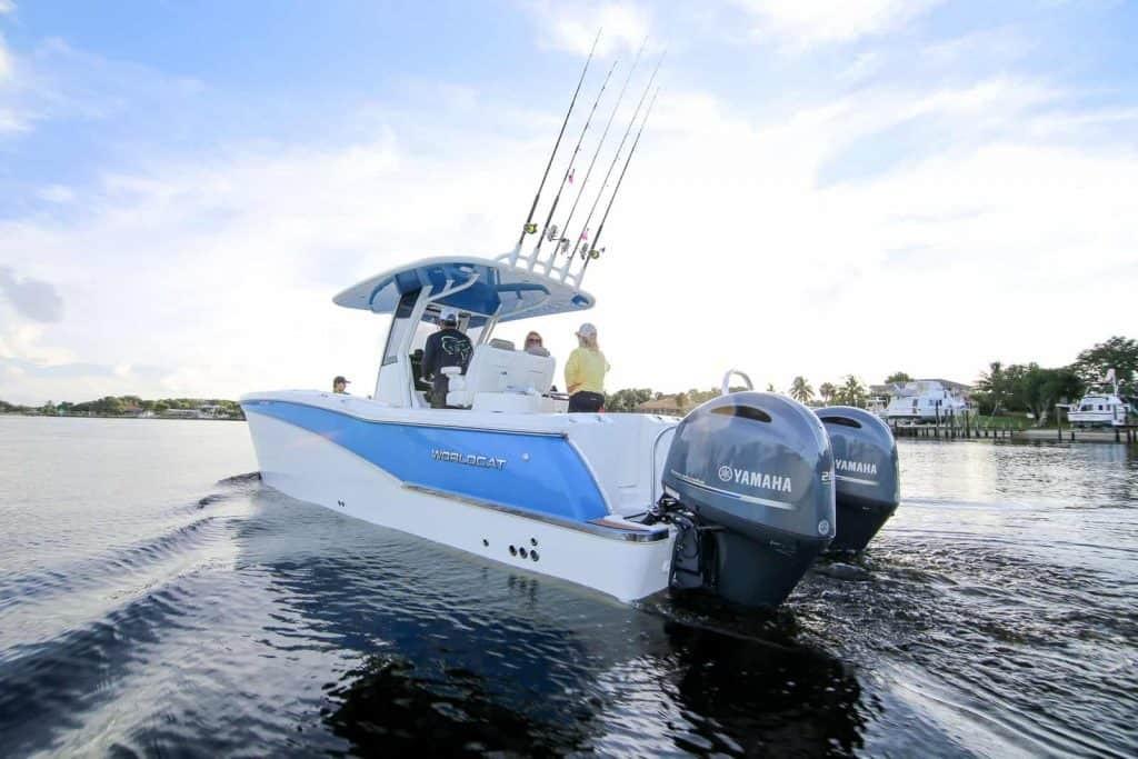 World Cat - 50North