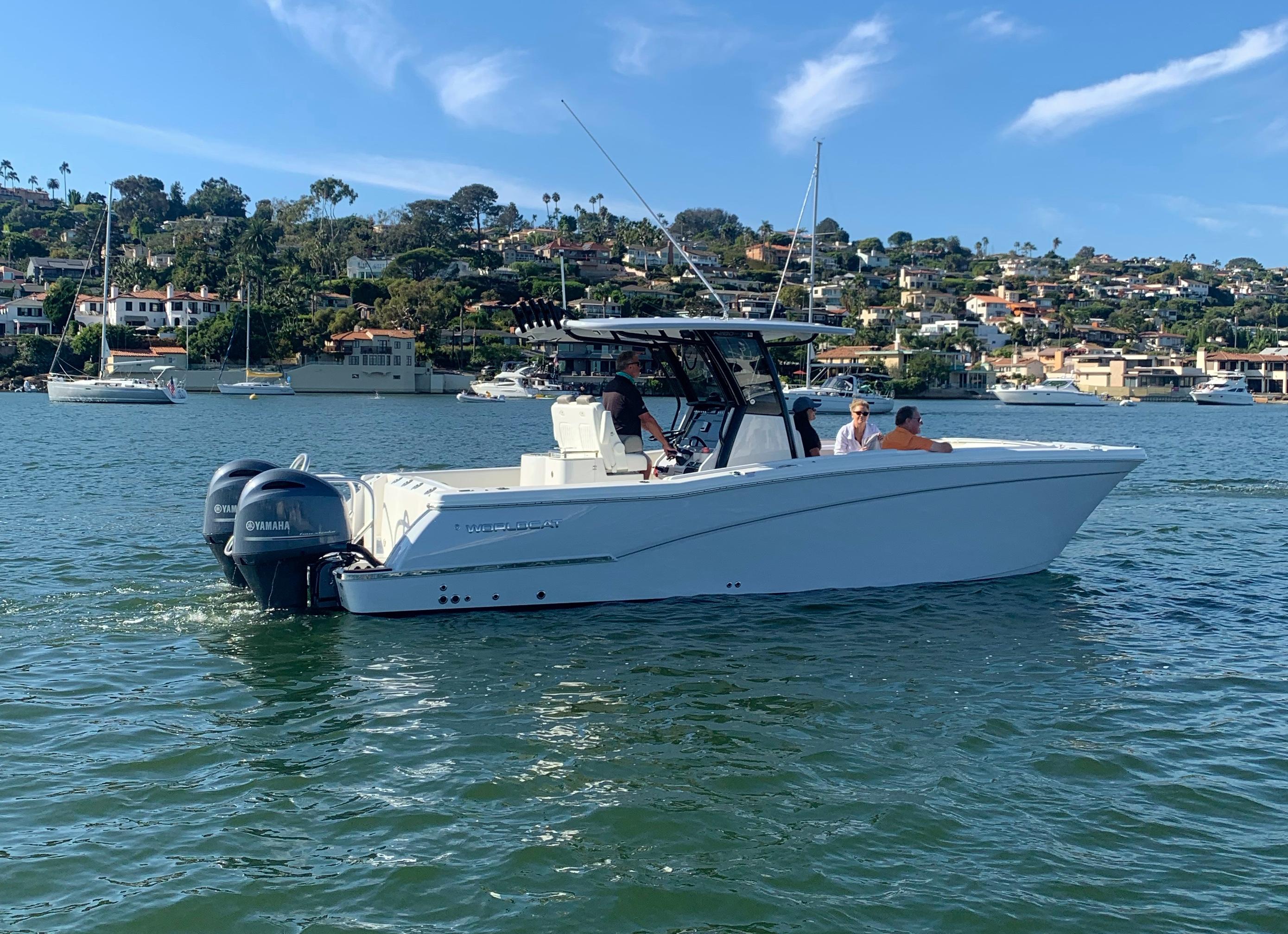 World Cat - 50North