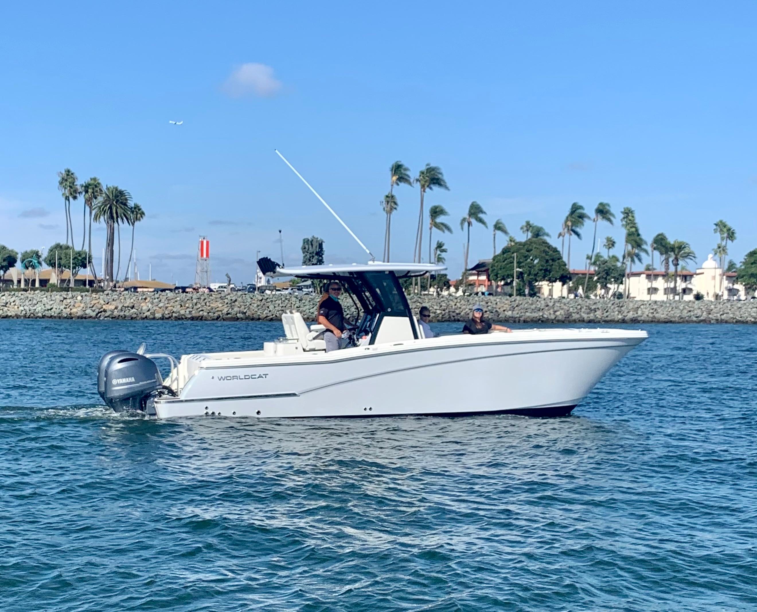 World Cat - 50North