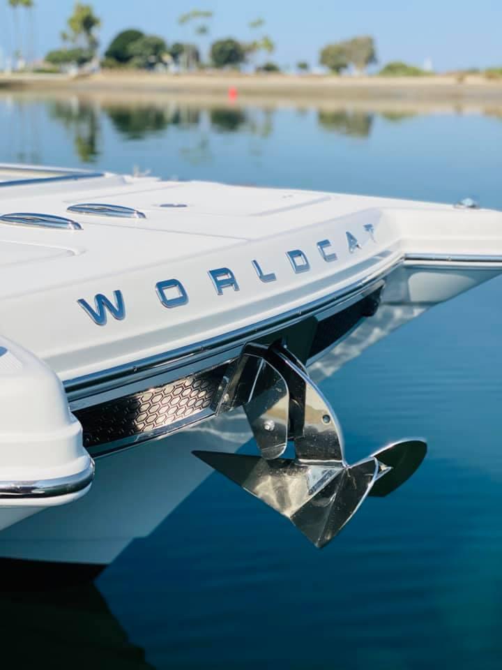 World Cat - 50North