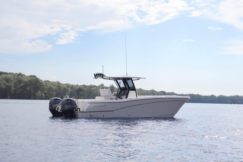 World Cat - 50North