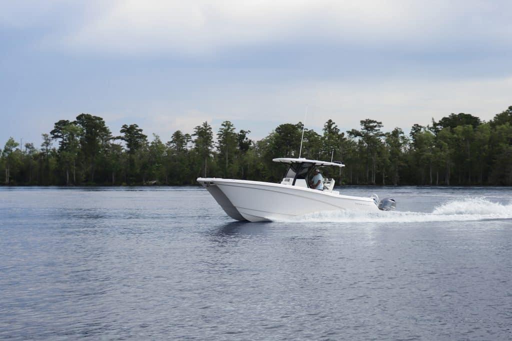 World Cat - 50North