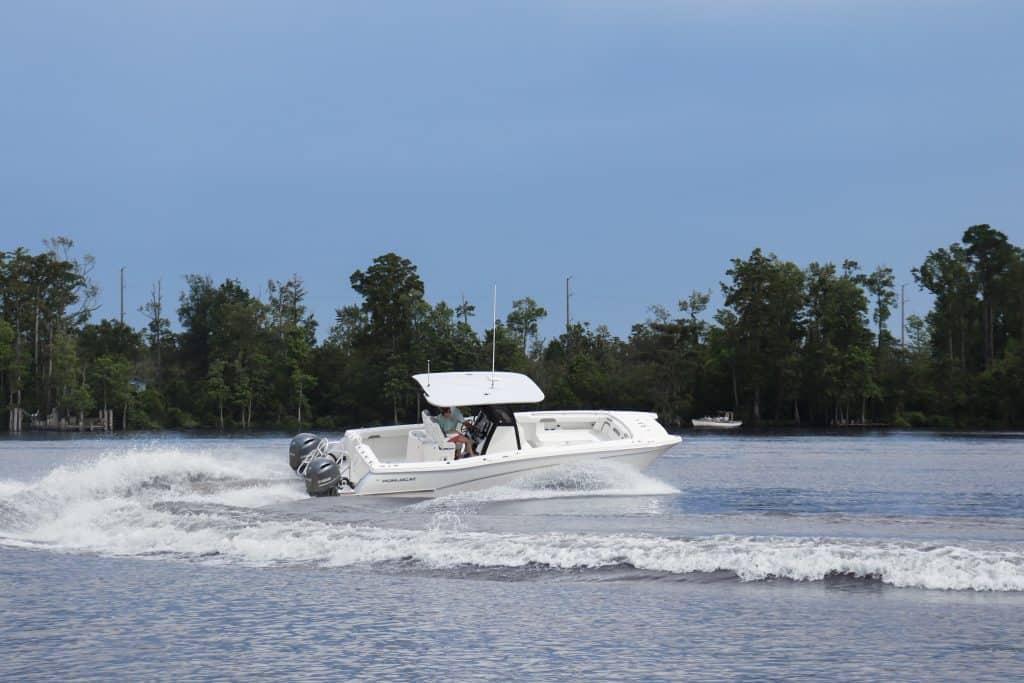 World Cat - 50North