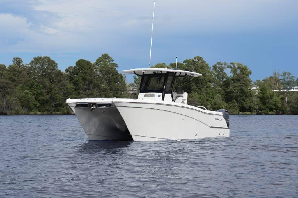 World Cat - 50North