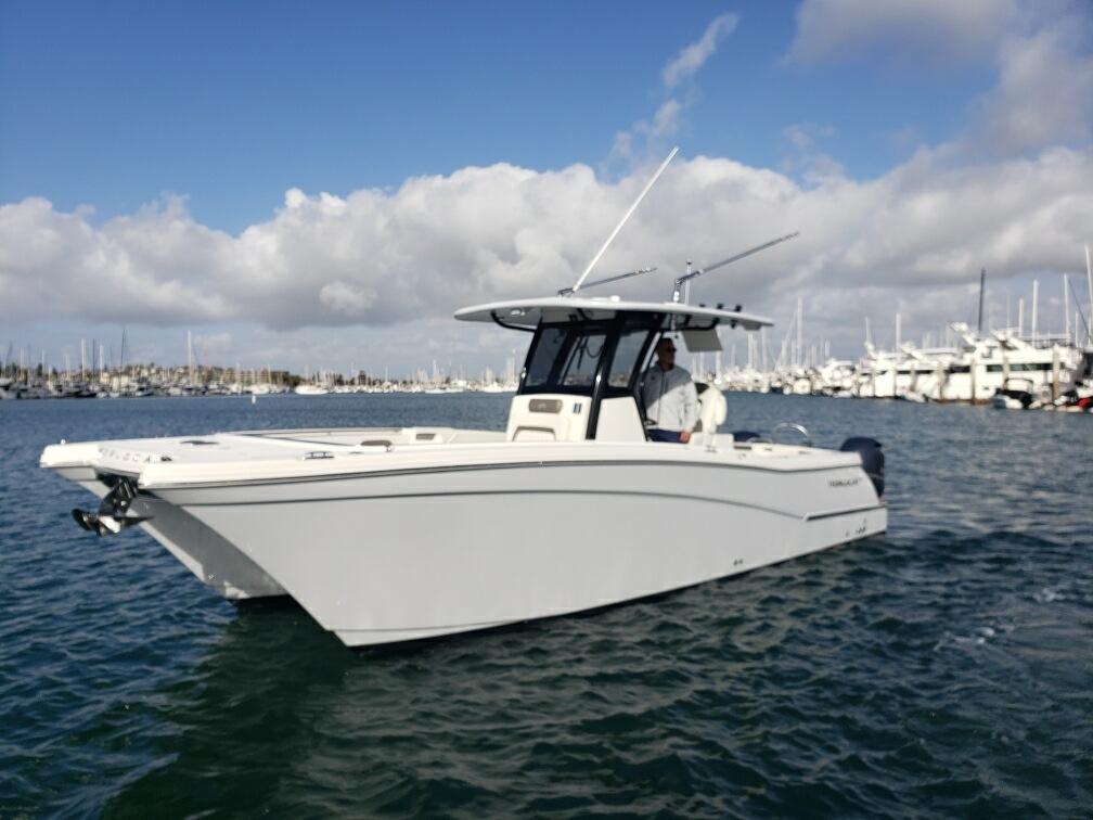 World Cat - 50North