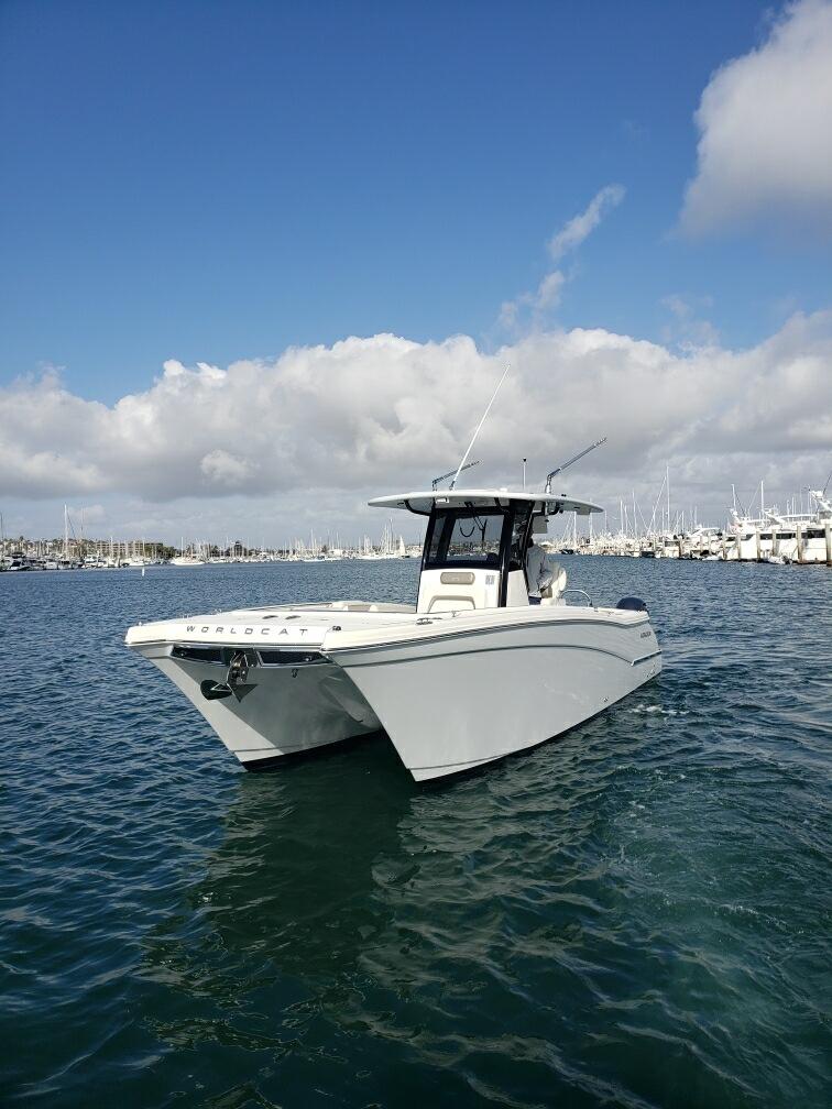 World Cat - 50North