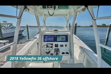 Yellowfin 36 Offshore video