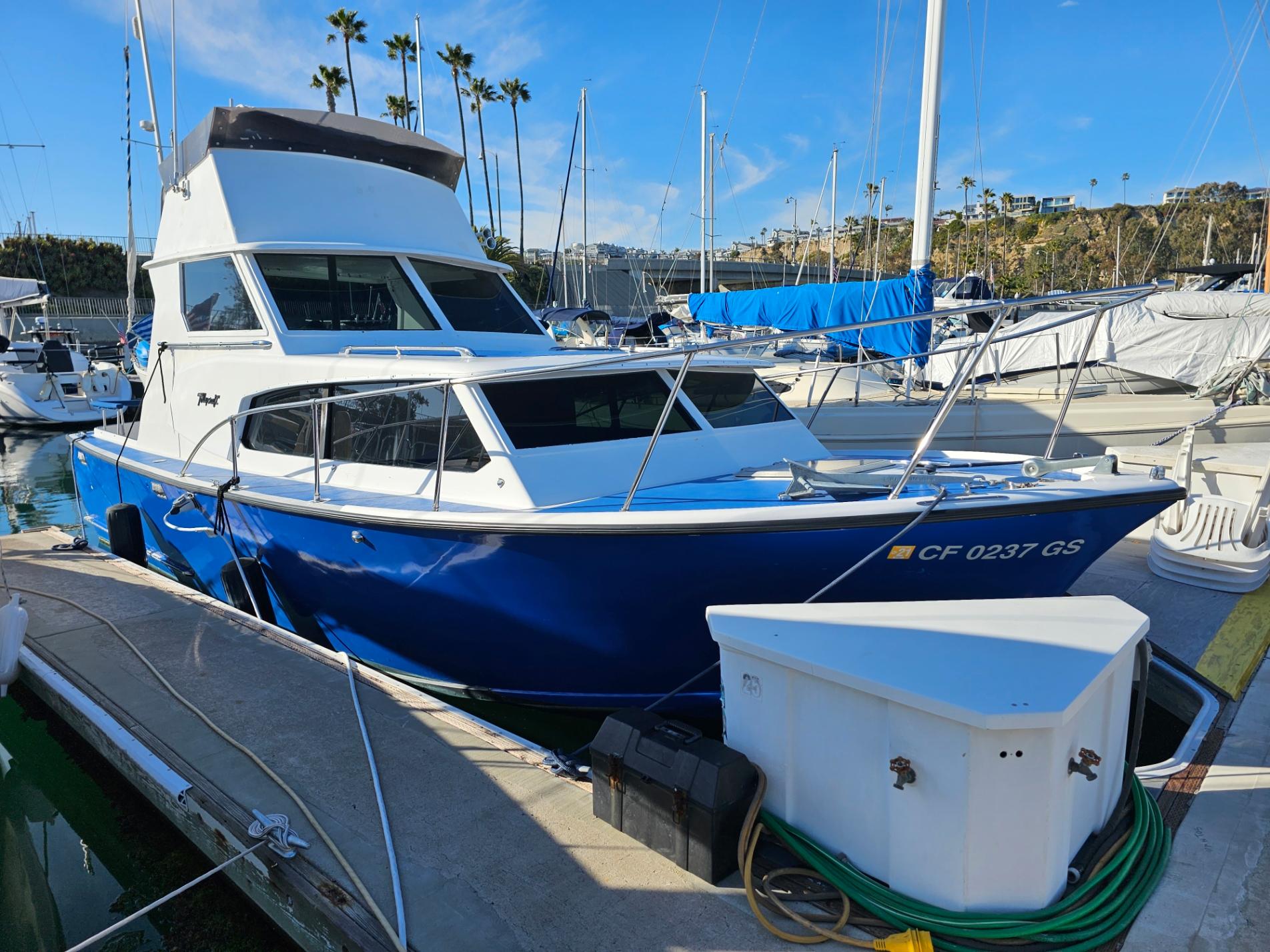 The Blue Pearl