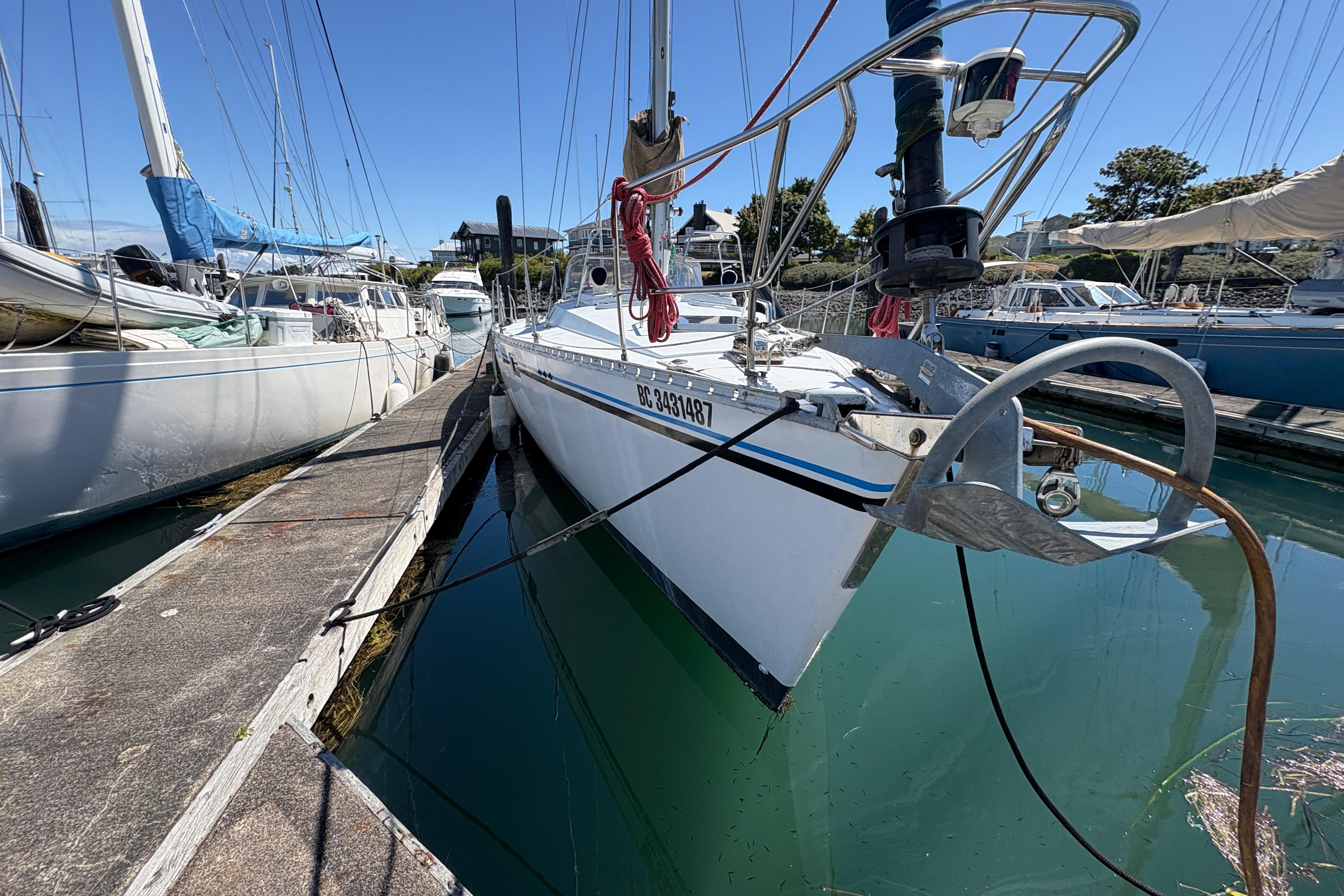 Yacht Photos Pics