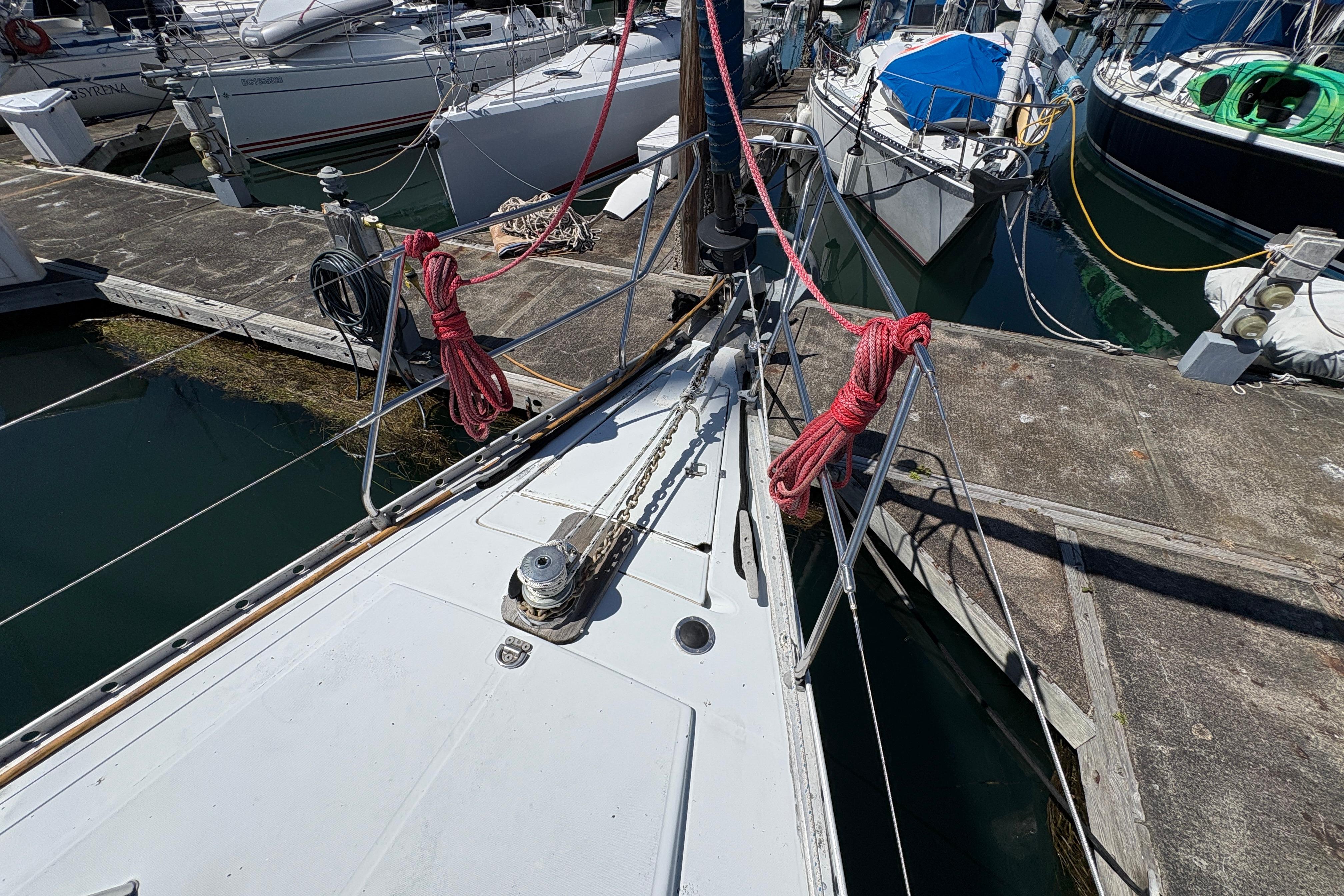 Yacht Photos Pics