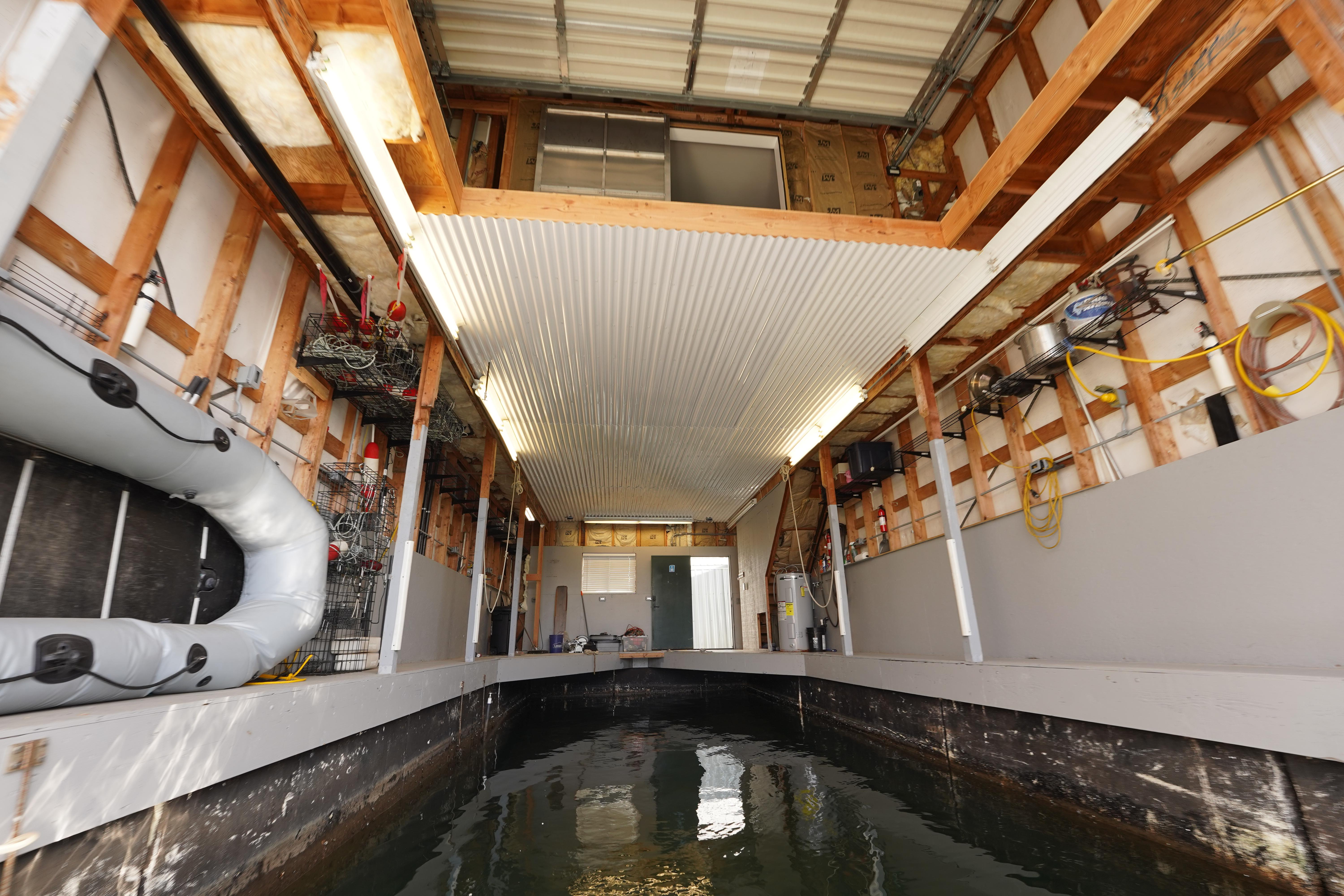 Custom-46 x 20 Boathouse 1994 -WA-US-9781440 | Thumbnail