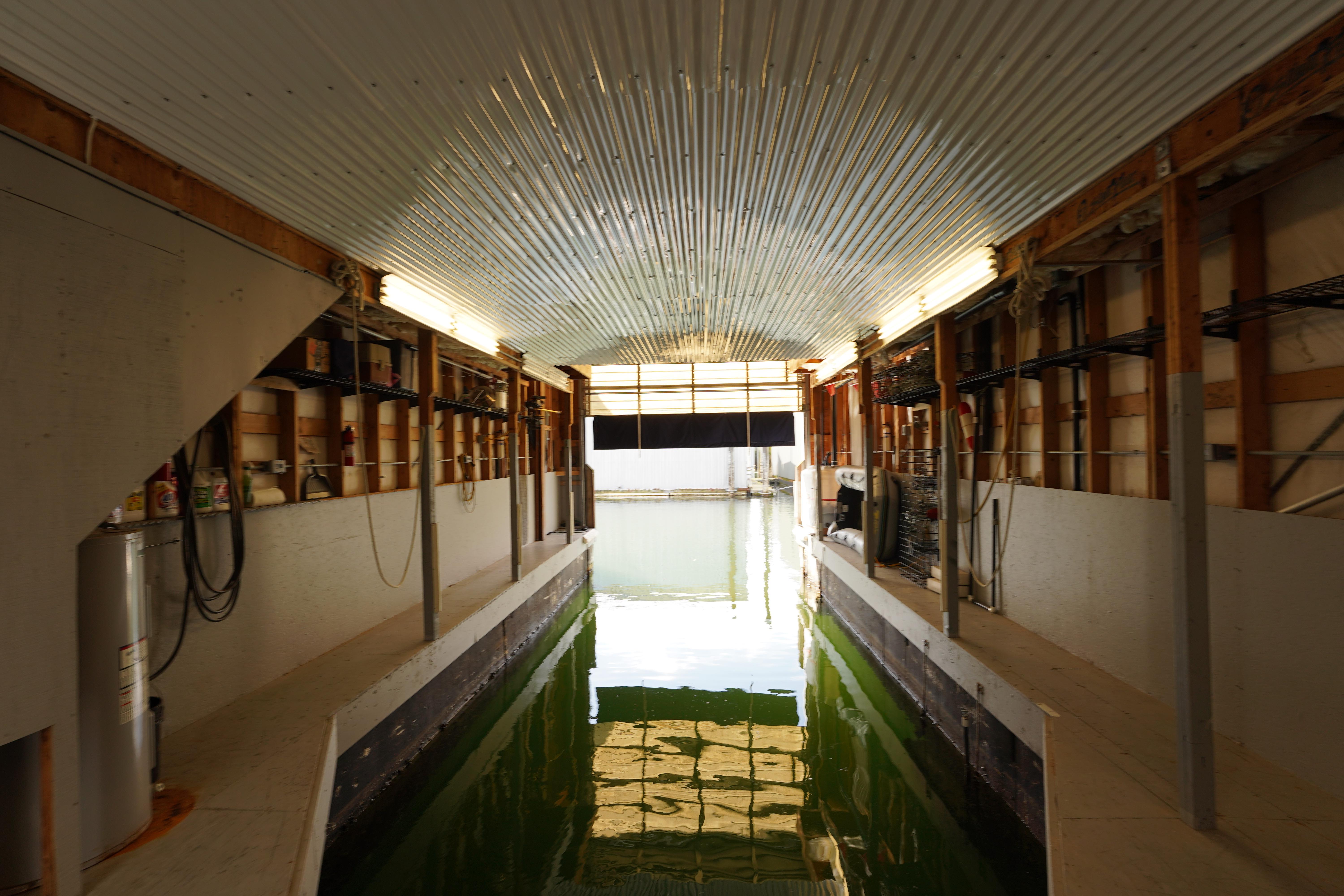 Custom-46 x 20 Boathouse 1994 -WA-US-9781440 | Thumbnail