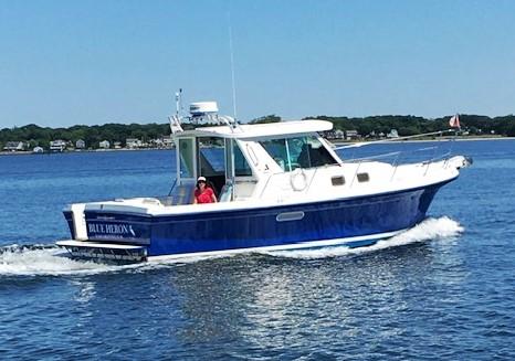 2002 Albin 31 Tournament Express Blue Heron