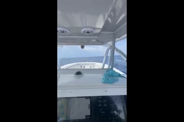 Seahunter 41-CTS video