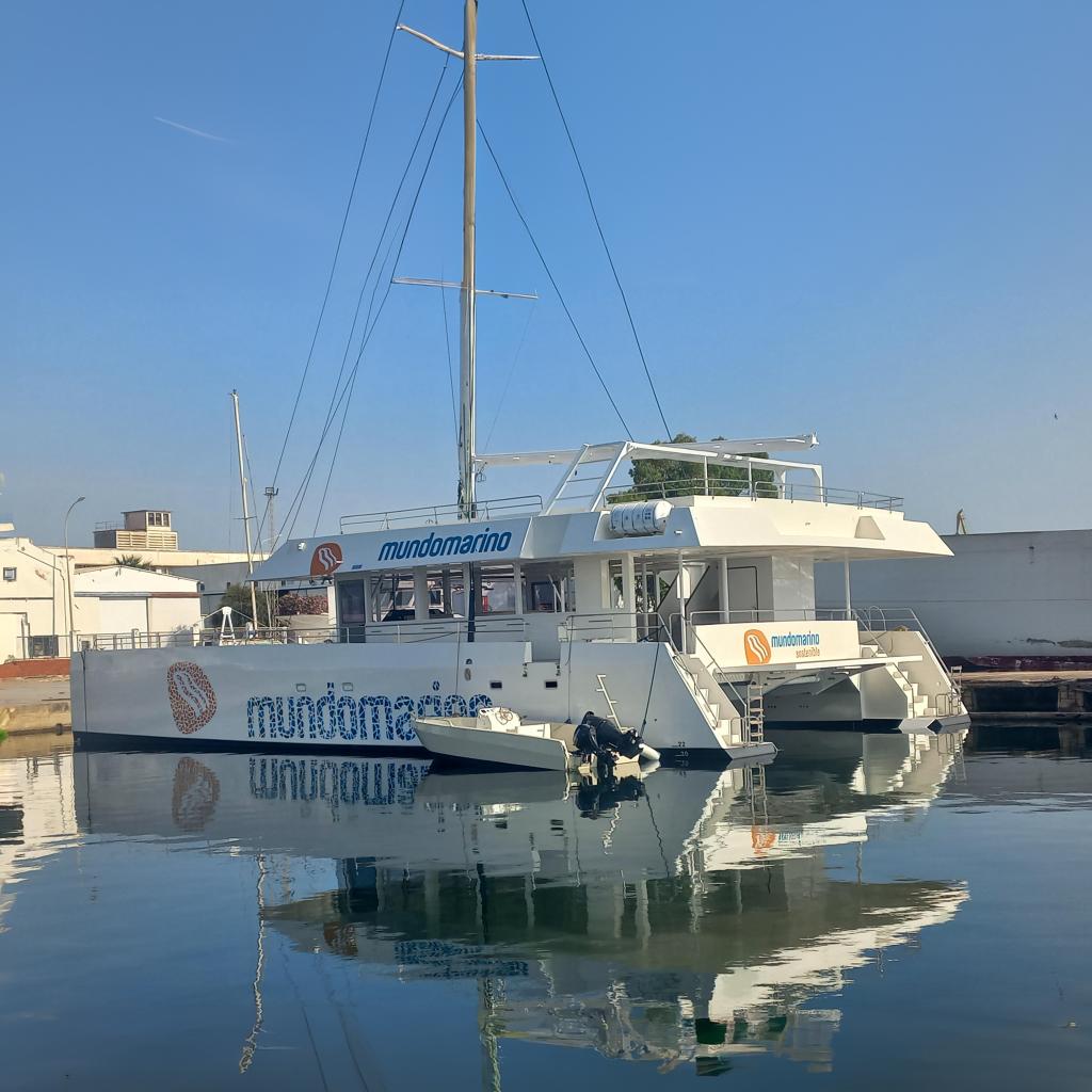 SQUALT MARINE CK 80