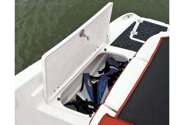 2010 Chaparral 206 SSI / Volvo Penta 4.3 GXi - Image 18