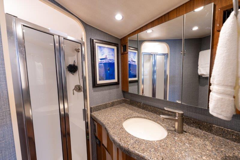 Viking 52 FAMILY TRADITION - Master Head Sink & Shower