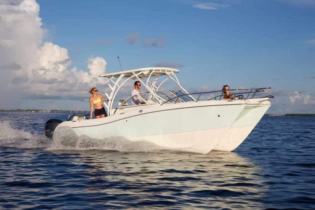 World Cat - 50North