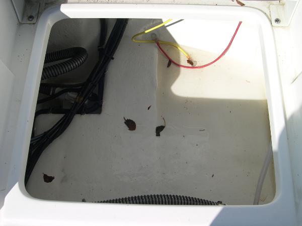DX22 Photo 30