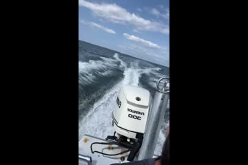 Boston-whaler TEMPTATION-2500 video