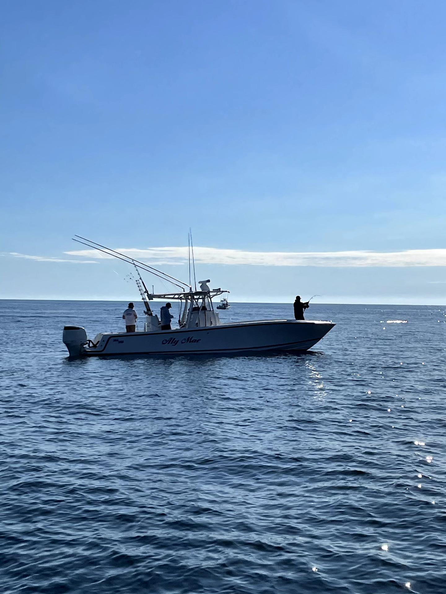 2003-seavee-34b-power-9722465-20250403095001713-1_XLARGE