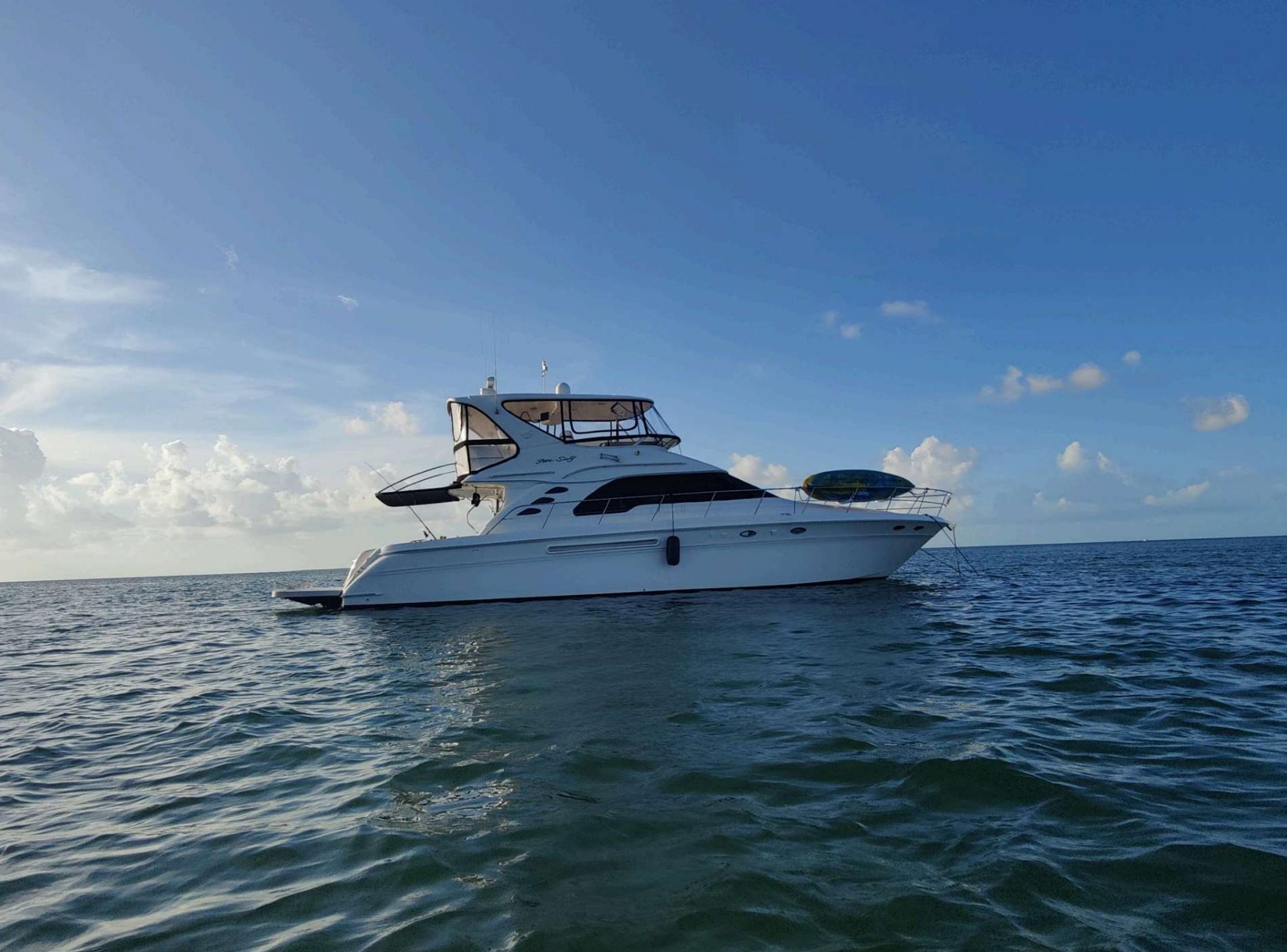 Sea Ray-560 Sedan Bridge 1999-Wade N Winda FL-US-1999 Sea Ray 560 Sedan Bridge yacht on calm ocean waters under a clear blue sky.-9842472 | Thumbnail