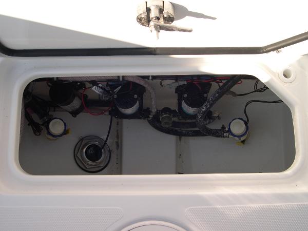 27 Gamefish Photo 42