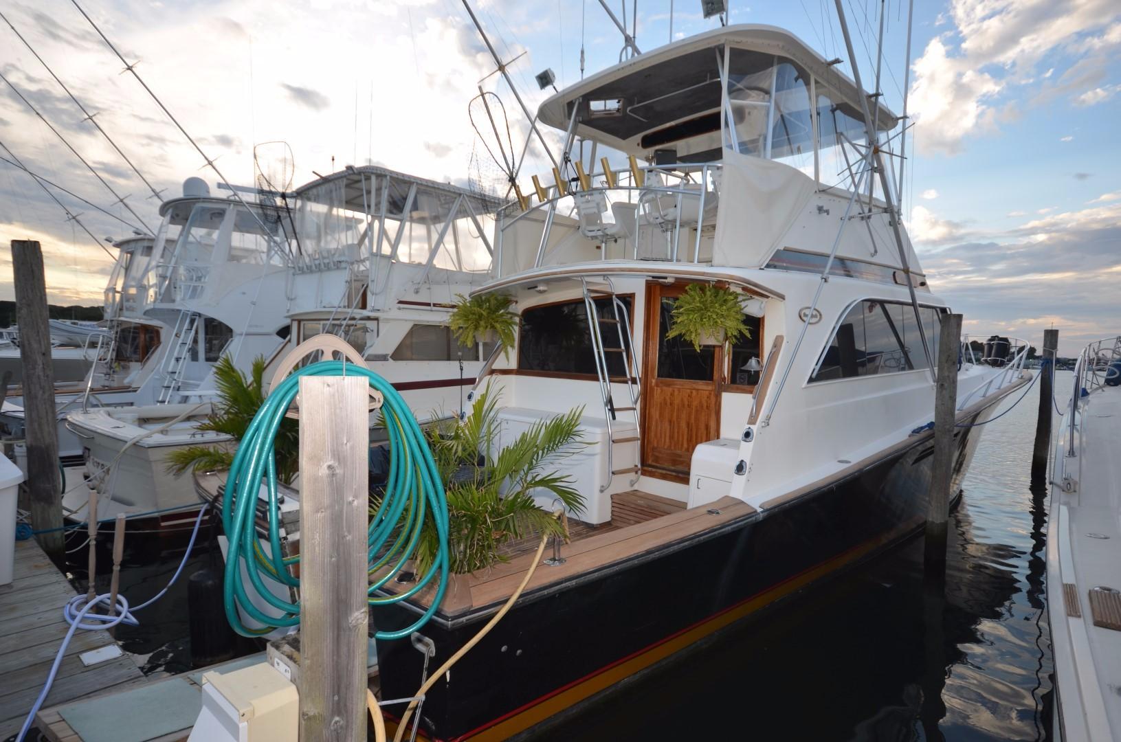 55 ocean yacht with outboards