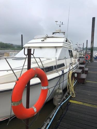 Princess 414