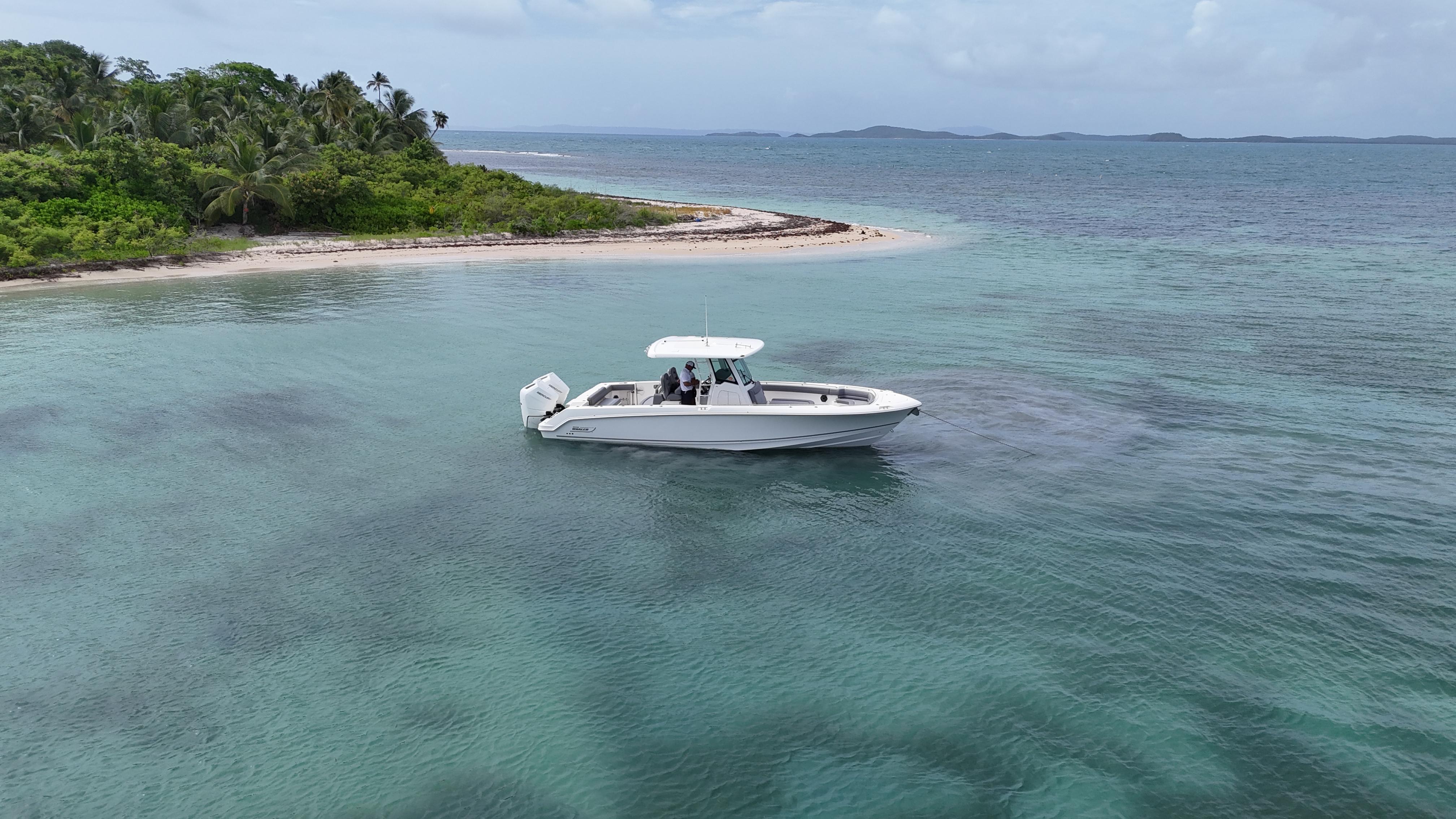 Boston Whaler-330 Outrage 2025 -PR-9822759 | Thumbnail