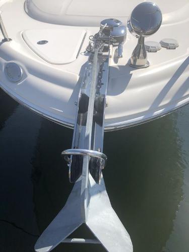2006 Sea Ray boat for sale, model of the boat is 290 Amberjack & Image # 5 of 19