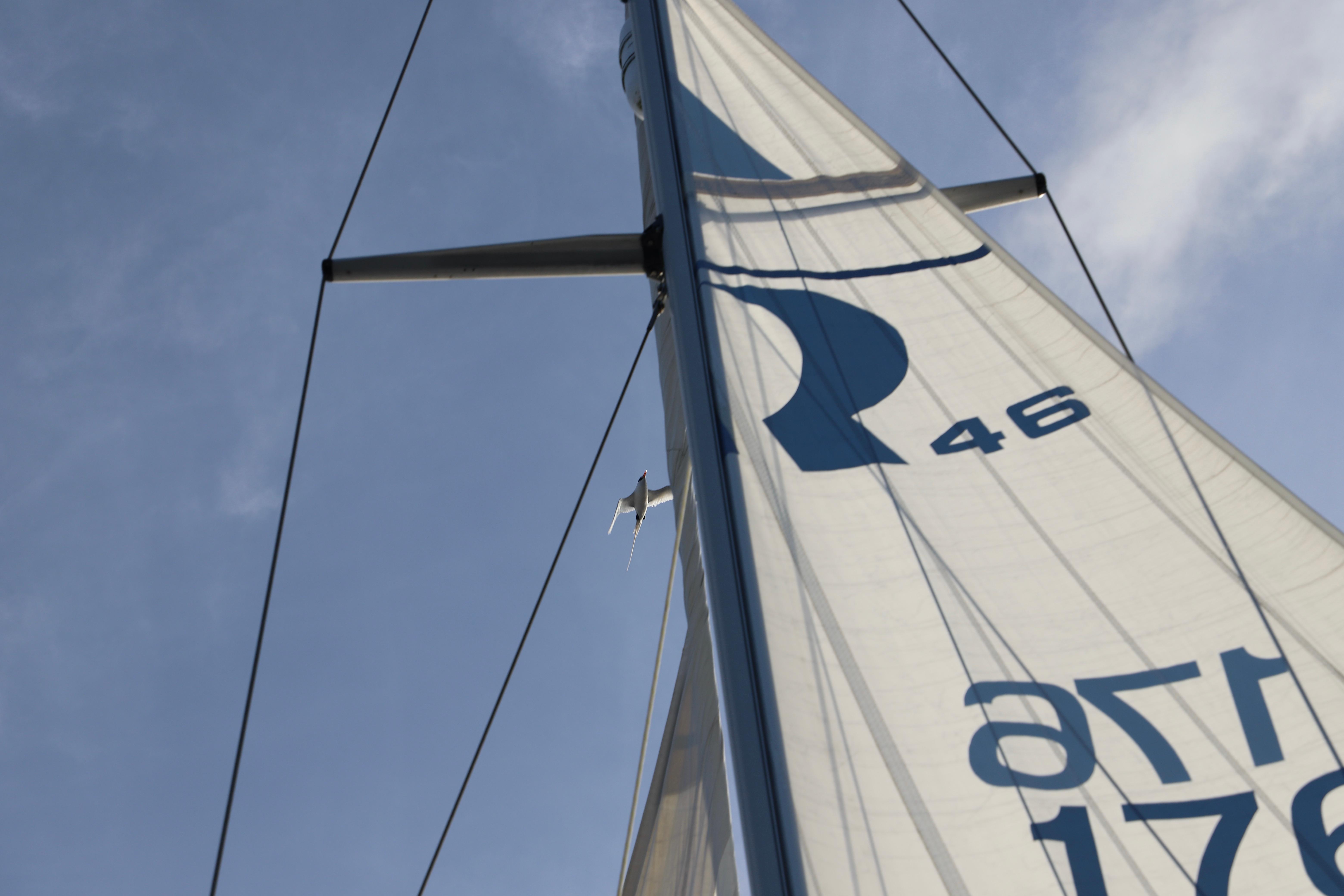 Hallberg-Rassy-46 2003 -FL-US-9723067 | Thumbnail