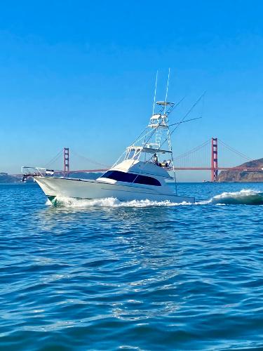 1988 Buddy Davis Convertible yacht cruising near Golden Gate Bridge on a clear day.