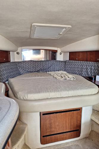 32' Sea Ray, Listing Number 100899453, - Photo No. 15