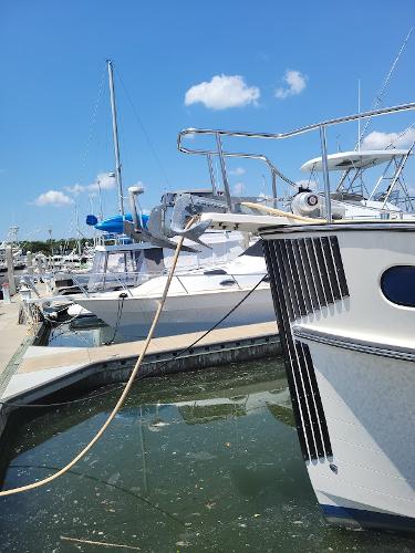 42' Nordic Tug, Listing Number 100916204, - Photo No. 73