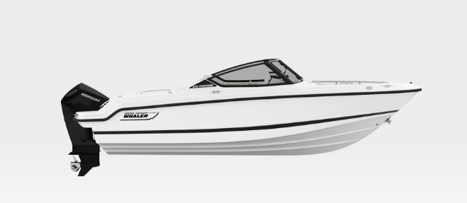 2025 Boston Whaler 210 Vantage #BW0520J primary image